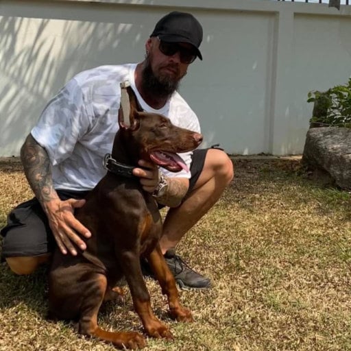 I am Max - Personal Dog Trainer 512 I am Max - Personal Dog Trainer 512